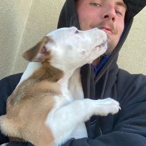 Meet your Posher, Kyle